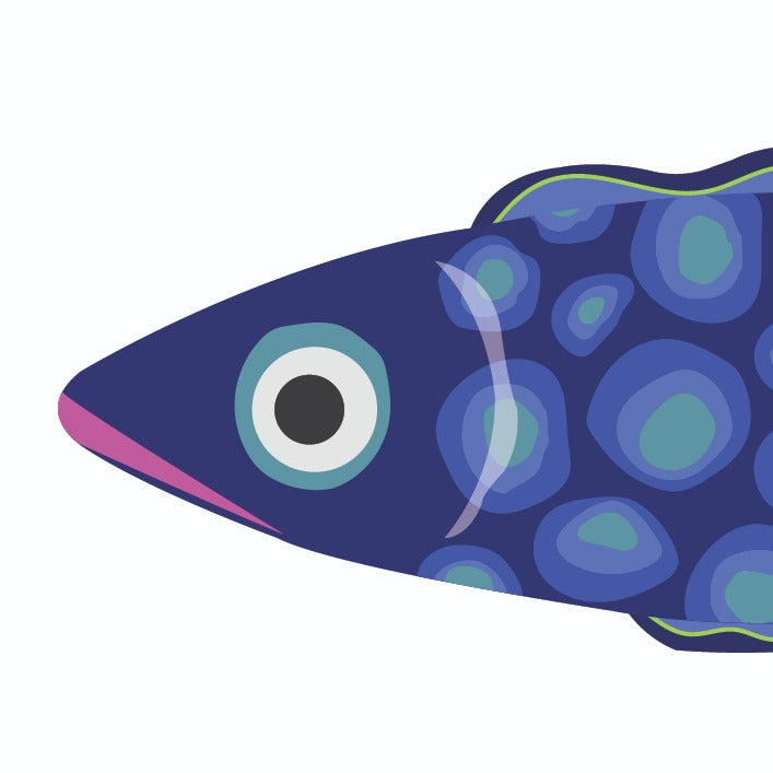 FishBellie Gift Card Set image 5