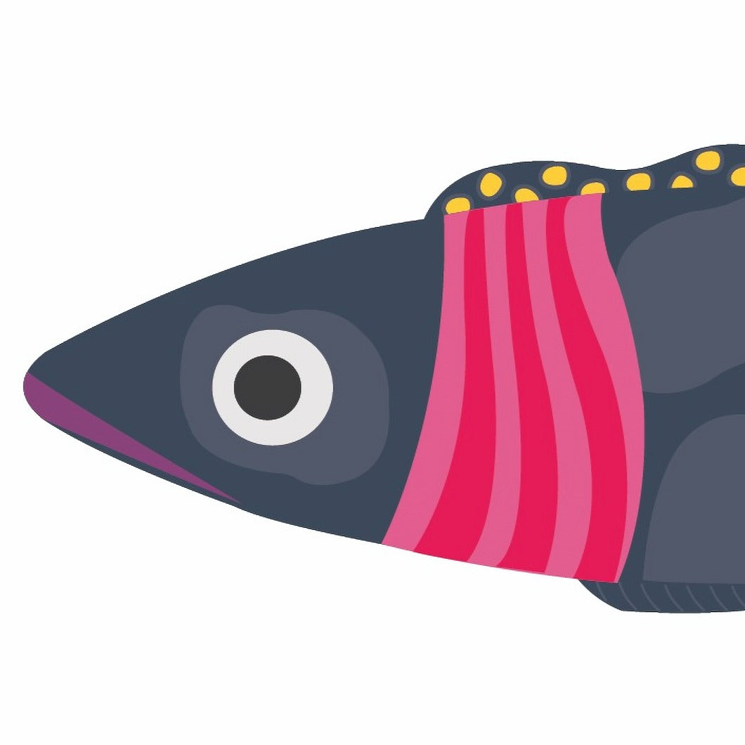 FishBellie Gift Card Set image 8