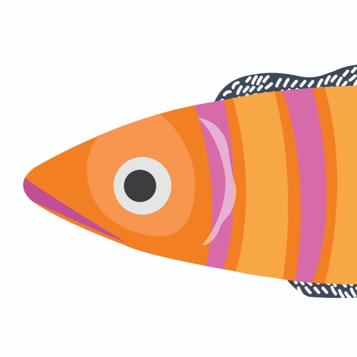 FishBellie Gift Card Set image 6