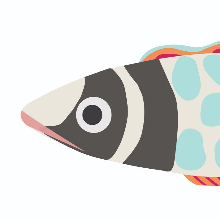 FishBellie Gift Card Set image 7