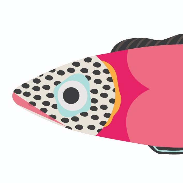 FishBellie Gift Card Set image 3